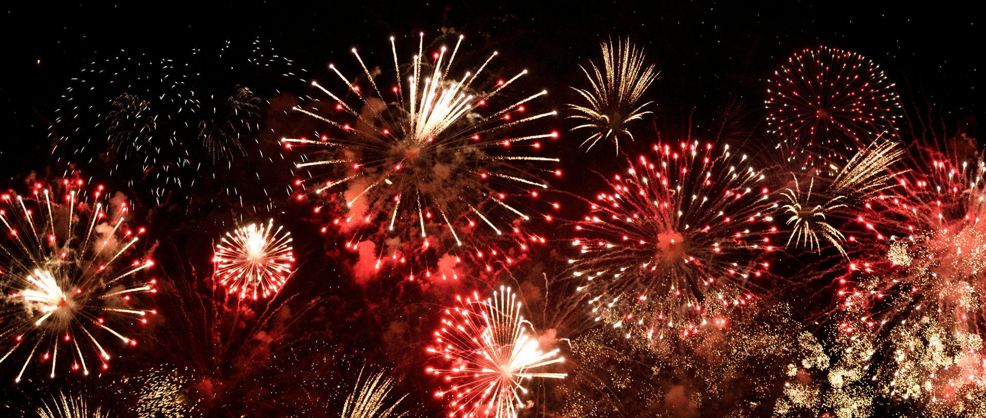 A bunch of fireworks are lit up in the night sky